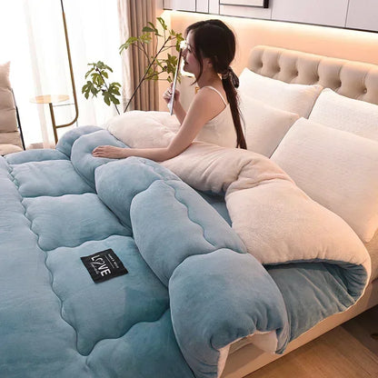 Lamb Velvet Winter Quilt Machine Washable Soft and Warm Blanket Spring and Autumn Quilt Super Warm Bedding Queen Comforter 겨울 이불.