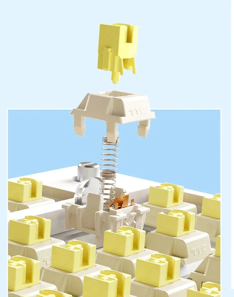 AULA F75 2.4G Wireless/Bluetooth/Wired Gaming Mechanical Keyboard RGB Customized 75% Layout OEM Profile Gasket Structure.