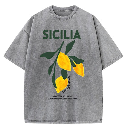 Amalfi Coast Italia Lemon Fruit Design Women Washed T-Shirts Y2K Casual T Shirt Summer Hip Hop Top Cotton Loose Short Sleeve