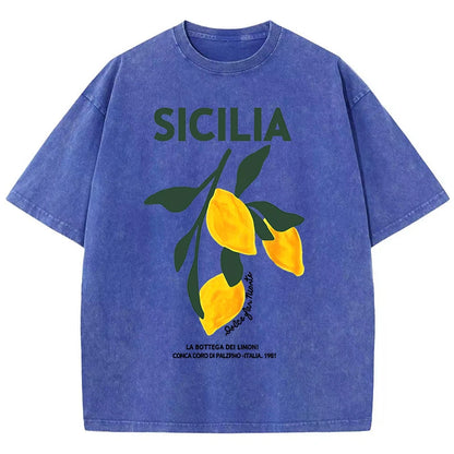 Amalfi Coast Italia Lemon Fruit Design Women Washed T-Shirts Y2K Casual T Shirt Summer Hip Hop Top Cotton Loose Short Sleeve