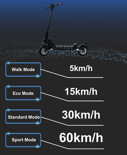 DriveTron DT10 Foldable Adult Electric Scooter, E-Scooter, 50km/h Electric Kick Scooter, 1000W Skateboards, 48V 15.6Ah Kickboard