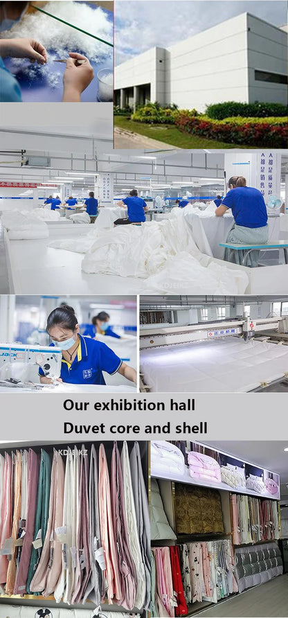 KDJEIKZ  Winter Cotton Goose Down Quilt Five-Star Hotel Duvet Super Soft Fluffy Queen King Full Size Four Seasons Duvets Blanket.