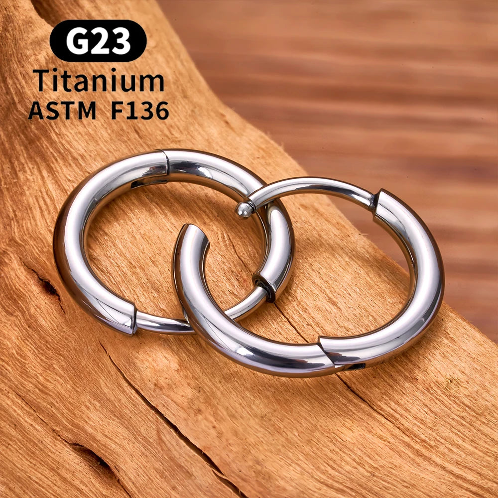 2/20PCS G23 Titanium Earring Hoop CZ Hinged Segment Round Nose Ring for Women Ear Tragus Cartilage Helix Daith Piercing Jewelry.