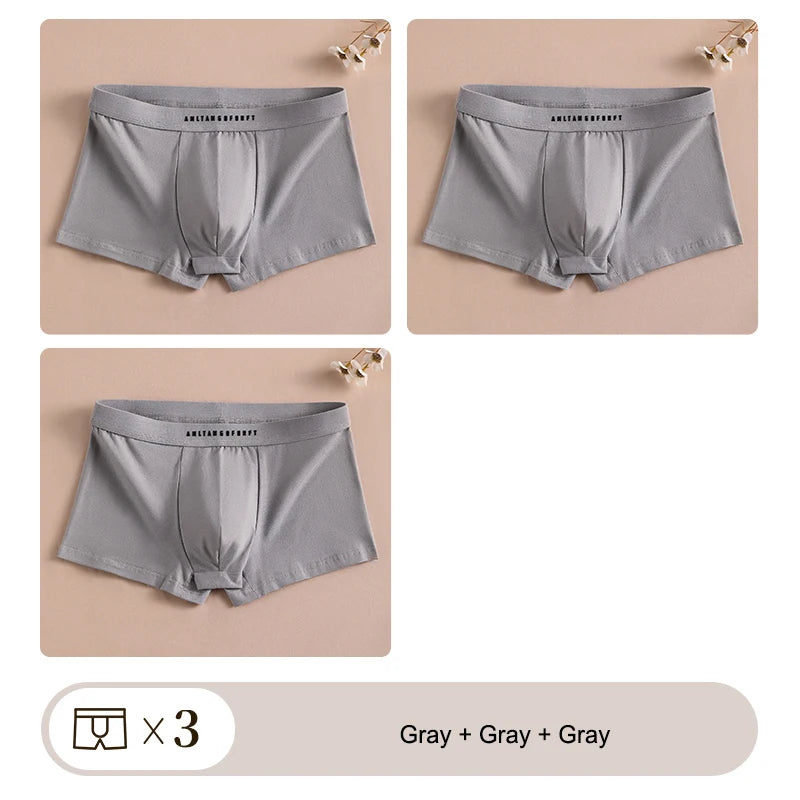 3PCS Sport Boxer Mann Atmungsaktive Geschenk Sportliche Boxer männer Platz Höschen Sexy Männer Unterwäsche Unterhose Briefs Shorts unterwäsche