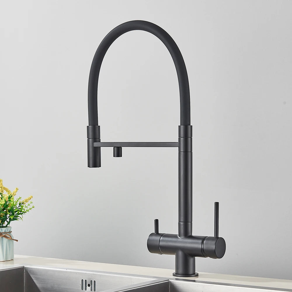 Rozin Filter Water Kitchen Faucet Black Pull Down Flexible Sprayer Faucets 2 in 1 Purification Pure Water Mixer Tap 360 Swivel
