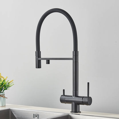 Rozin Filter Water Kitchen Faucet Black Pull Down Flexible Sprayer Faucets 2 in 1 Purification Pure Water Mixer Tap 360 Swivel