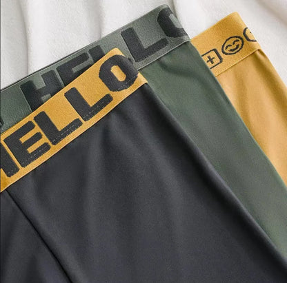 5PCS Boxer Höschen Männer Brief Unterwäsche Badehose Sexy Unterhose Atmungsaktivem Weiche Baumwolle Höschen Boxer Shorts Plus Größe