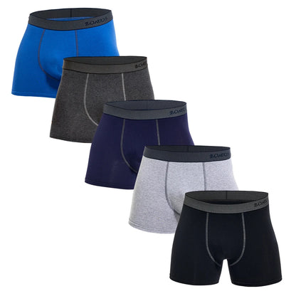 5 stücke Pack Herren Höschen Baumwolle Unterwäsche Männliche Marke Boxer Briefs 2025 Unterhosen Für Homme Luxus Sexy Shorts Geschenk