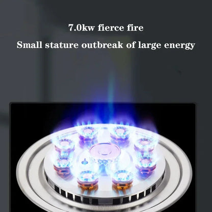 D09/D10/D11 Household Single-Burner Stove Embedded Gas Stove Natural Liquefied Gas Stove Kitchen Cooking Tools.
