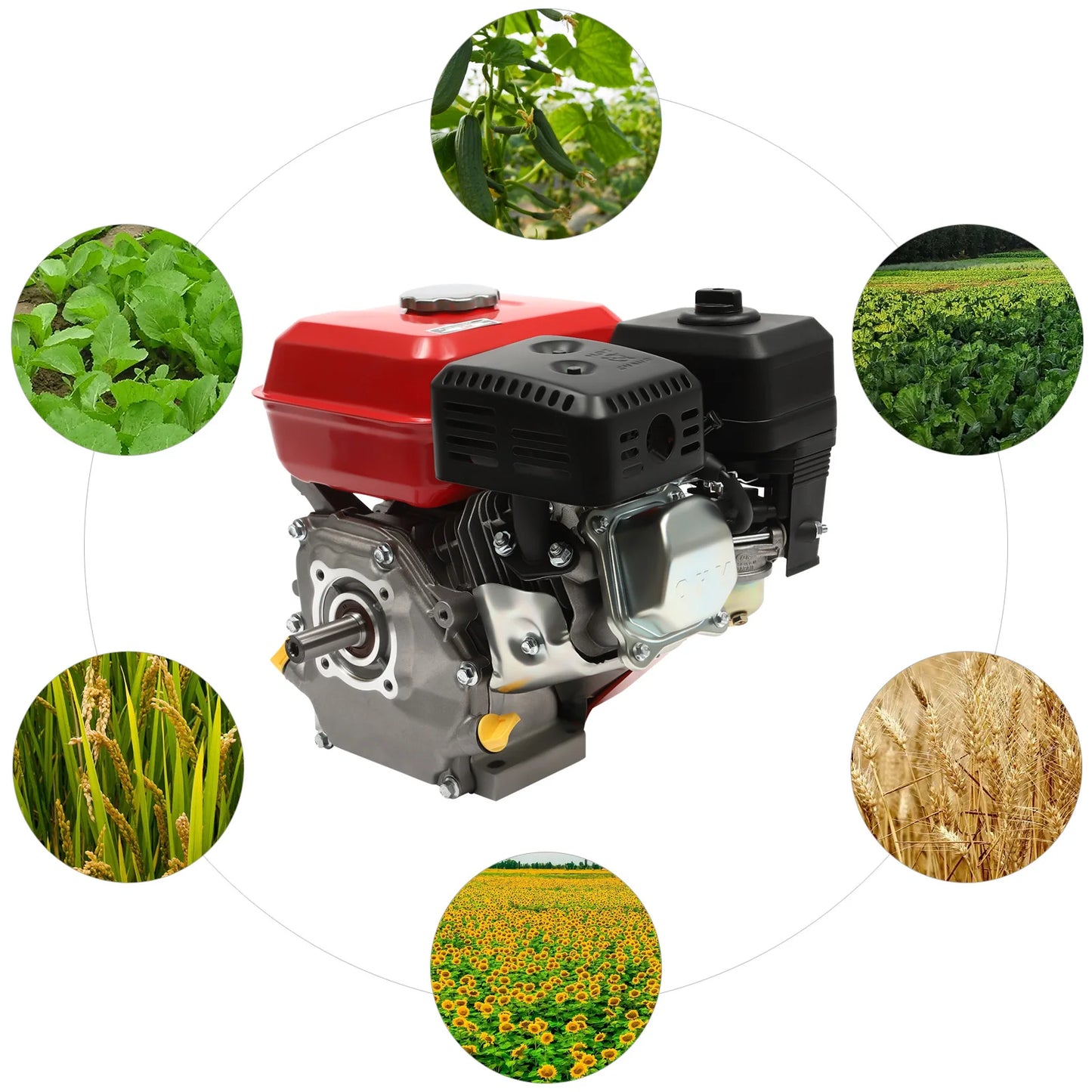 4-Takt-Benzinmotor 212 cc, 7,5 PS, 4000 W, 3600 U/min, Einzylinder-Handgezogener Benzinmotor, Durchmesser der Kurbelwelle ist 20 mm