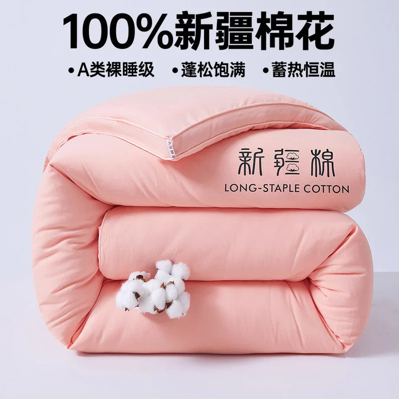 2025 new class A Xinjiang cotton thickened winter quilt spring and autumn quilt pure cotton quilt student dormitory warm