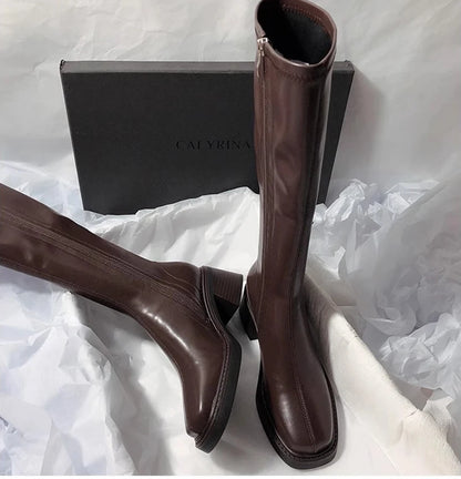 Vintage Thick Heel Women Knee High Boots Fashion Side Zippers Shoes Autumn Winter Ladies Concise Long Botas De Mujer.