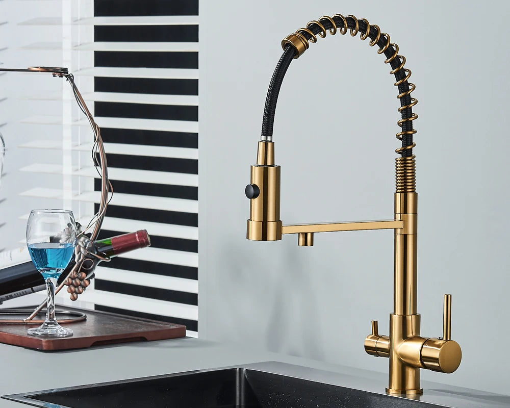 Black Filtered Kitchen Water Filter Kitchen Faucets Dual Spout Filter Faucet Mixer Water Purification Water Crane For Kitchen