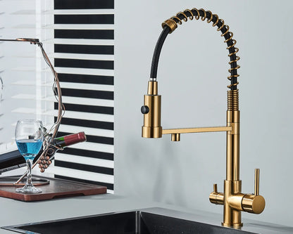 Black Filtered Kitchen Water Filter Kitchen Faucets Dual Spout Filter Faucet Mixer Water Purification Water Crane For Kitchen