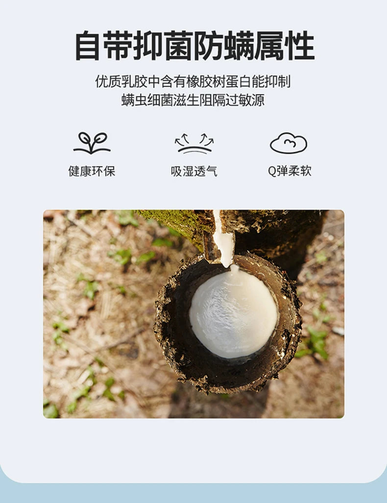 Latexmatratzen für zu Hause, Tatami-Matten, gepolstert zur Miete, dünne Polster für Einzel- und Doppel-Studentenwohnheime, verdickt