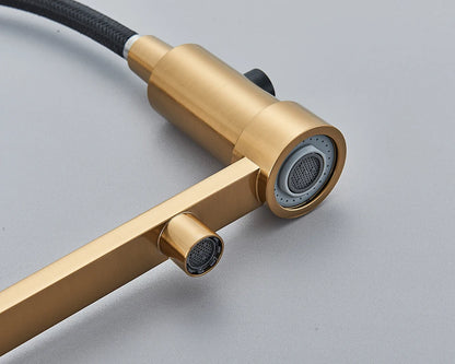 Black Filtered Kitchen Water Filter Kitchen Faucets Dual Spout Filter Faucet Mixer Water Purification Water Crane For Kitchen