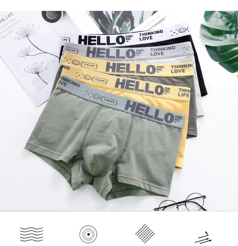 5PCS Boxer Höschen Männer Brief Unterwäsche Badehose Sexy Unterhose Atmungsaktivem Weiche Baumwolle Höschen Boxer Shorts Plus Größe