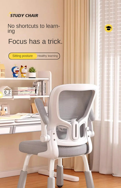 Computerstuhl, Heimsitz, Taille, Studentenschreibtisch, Arbeitsstuhl mit Lift und verstellbarer Rückenlehne