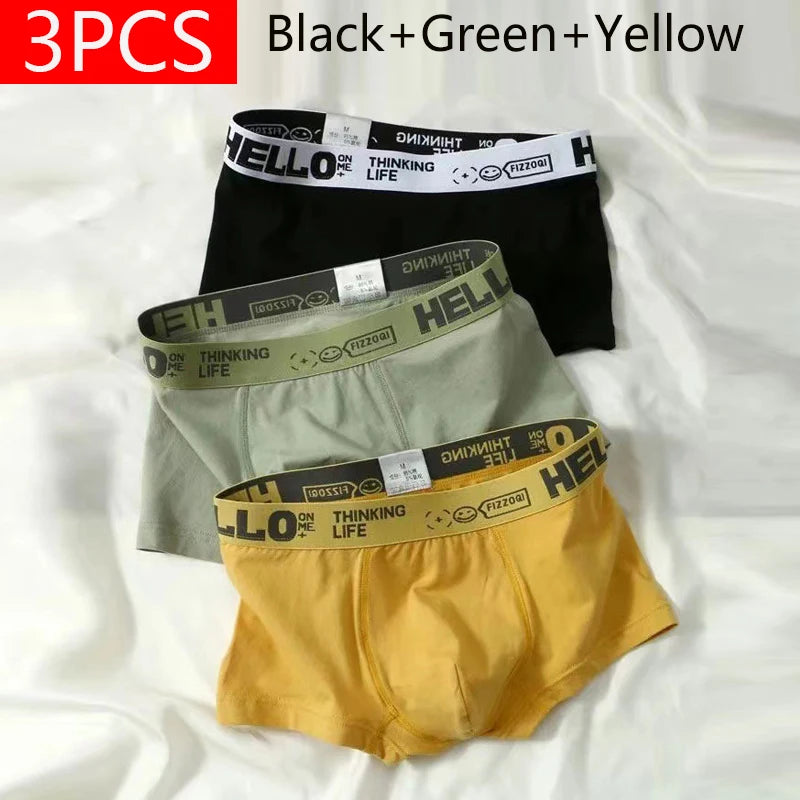 5PCS Boxer Höschen Männer Brief Unterwäsche Badehose Sexy Unterhose Atmungsaktivem Weiche Baumwolle Höschen Boxer Shorts Plus Größe