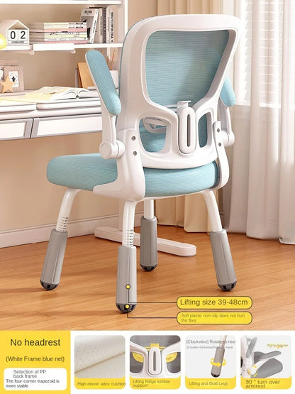 Computerstuhl, Heimsitz, Taille, Studentenschreibtisch, Arbeitsstuhl mit Lift und verstellbarer Rückenlehne