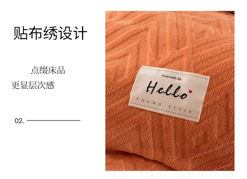 Super Warm Lamb Wool Quilt Winter Thickened Cotton Quilt Warm Cotton Double Sided Velvet Soft Extra Large Blanket 이불.