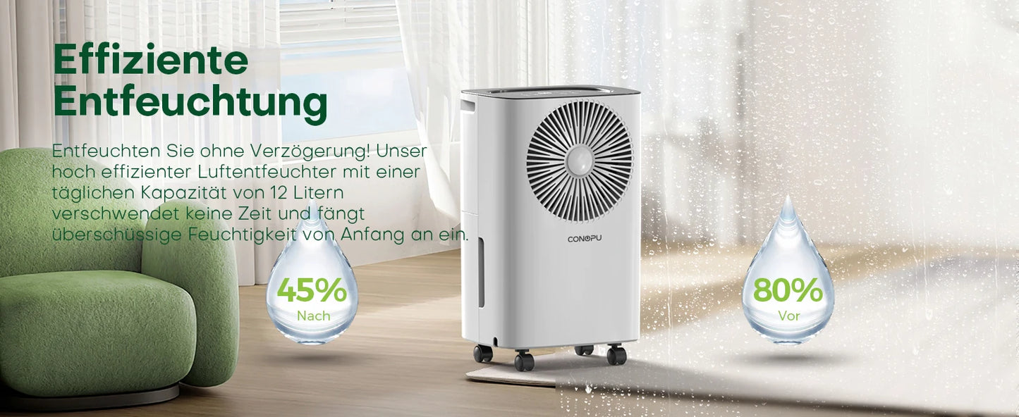Dehumidifier 12 L/Day, Car Dehumidification, 24H Timer On/Off, Continuous Drainage, Room Dehumidifier, Suitable for Home/Basemen.