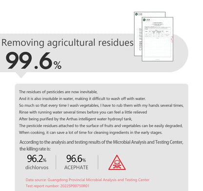 ASRAS Kitchen Sink Stainless Steel Nano Grey Kitchen Sink with Built-in Food Purifier, Hidden Cover & Adjustable Lift Faucet