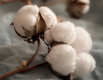 Quilt cotton queen Fall double bed comforters Quilt with cover washable Winter  - et Duvet 220x240 nordic duvet bed 150.