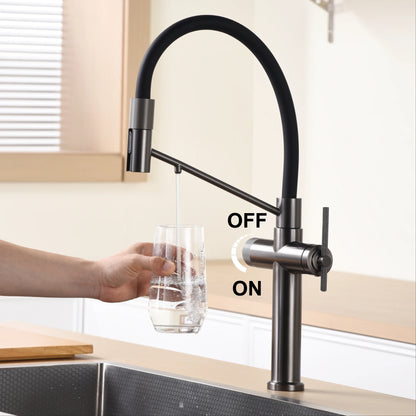 Modern chrome brass pull-out hot and cold water single hole kitchen faucet luxury 2 function drinking water mode sink faucet