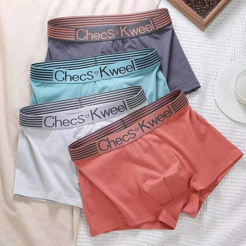 4Pcs Boxer Shorts männer Unterwäsche Sexy Höschen Baumwolle Boxer Gestreiften Unterhose Männlichen Shorts U Konvexen Dessous Plus Größe 2XL-6XL