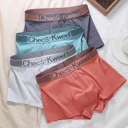 4Pcs Boxer Shorts männer Unterwäsche Sexy Höschen Baumwolle Boxer Gestreiften Unterhose Männlichen Shorts U Konvexen Dessous Plus Größe 2XL-6XL