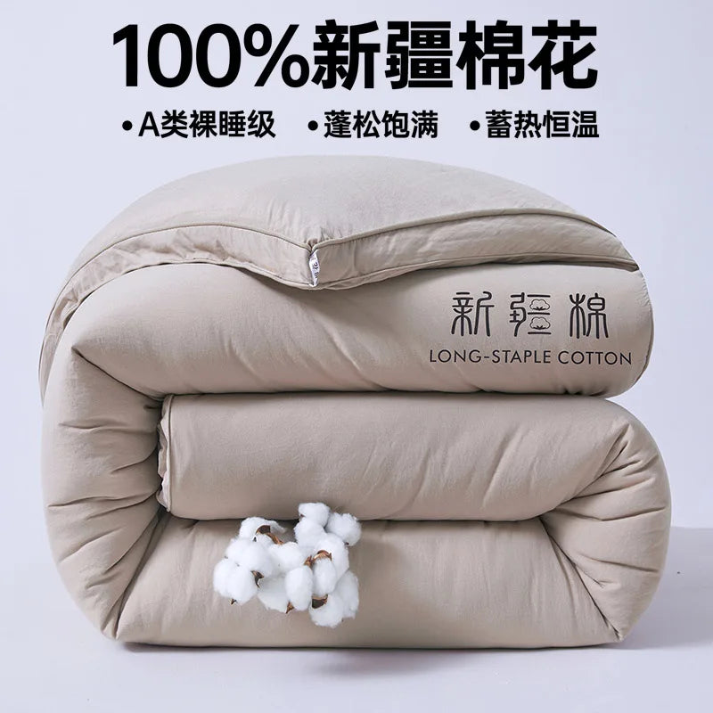 2025 new class A Xinjiang cotton thickened winter quilt spring and autumn quilt pure cotton quilt student dormitory warm