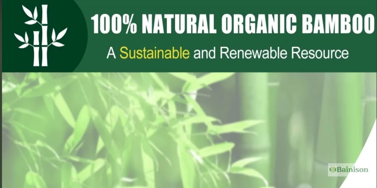 Bainison Bamboo Tray With Compartments-Snack Sorting Platter, Party Candy Buffet Display,Household Kitchen Outdoor Bamboo Tray.