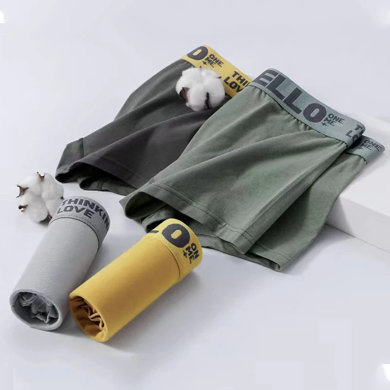 5PCS Boxer Höschen Männer Brief Unterwäsche Badehose Sexy Unterhose Atmungsaktivem Weiche Baumwolle Höschen Boxer Shorts Plus Größe