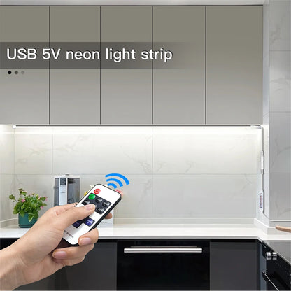 USB 5V LED Neon Sign Light Strip, Dimmable Penetrating Wooden Touch Sensor Switch & Remote Control Flexible Tape Silicone Decor.