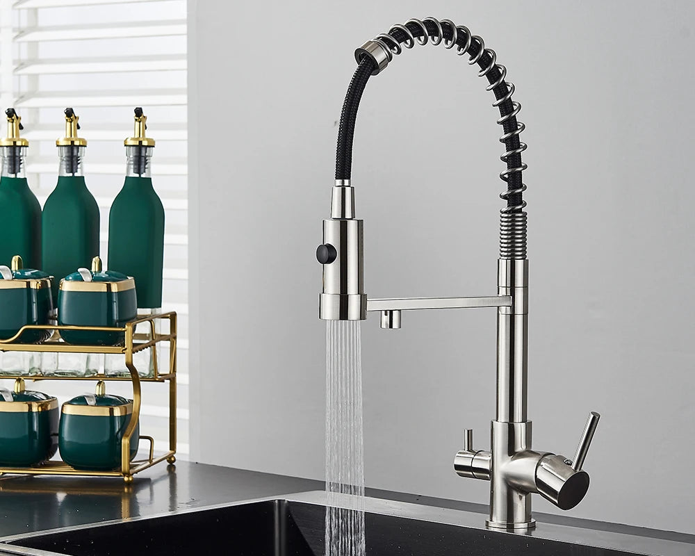 Black Filtered Kitchen Water Filter Kitchen Faucets Dual Spout Filter Faucet Mixer Water Purification Water Crane For Kitchen