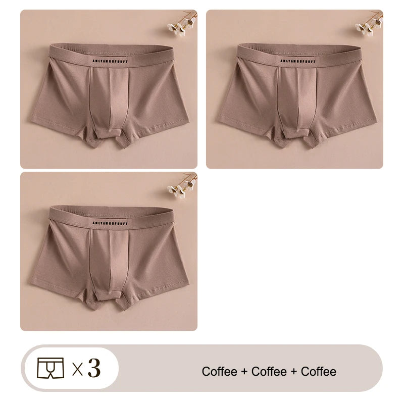 3PCS Sport Boxer Mann Atmungsaktive Geschenk Sportliche Boxer männer Platz Höschen Sexy Männer Unterwäsche Unterhose Briefs Shorts unterwäsche