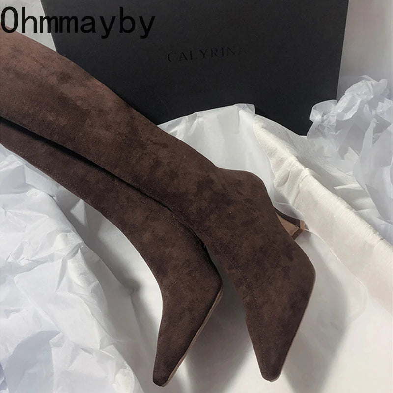 Women Stretch Modern Long Boots Fashion Pointed Toe Knee High Booties Designer High Heels Shoes.