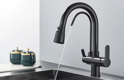 Quyanre Matte Black Filtered Crane For Kitchen Pull Out Spray 360 Rotation Water Filter Tap Three Ways Sink Mixer Kitchen Faucet