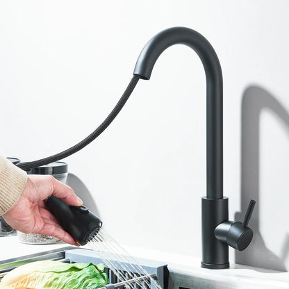 Kitchen Faucet Brushed Nickel Hot and Cold Water Faucet Kitchen Sink Faucet Pull-out Sprayer For Kitchen Sink Faucet