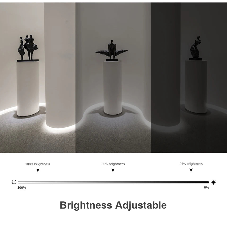 Waterproof COB LED Strip Lights 24V Flexible Neon Light Black Silicone Tube Linear Dimmable Lighting with Touch Sensor Switch.