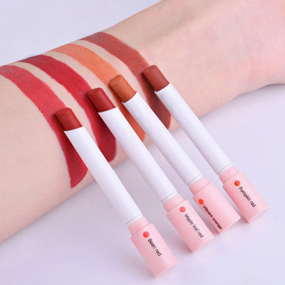 4 Colors Makeup Lipstick Cosmetics Lipstick Set Lip Tint Lip Gloss Waterproof Maquillaje Matte Long Lasting Make Up Pomade Kits.