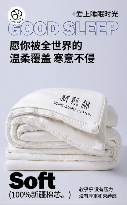 2025 new class A Xinjiang cotton thickened winter quilt spring and autumn quilt pure cotton quilt student dormitory warm.