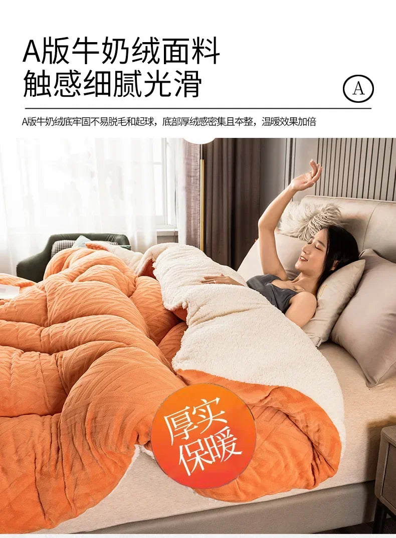 Super Warm Lamb Wool Quilt Winter Thickened Cotton Quilt Warm Cotton Double Sided Velvet Soft Extra Large Blanket 이불.