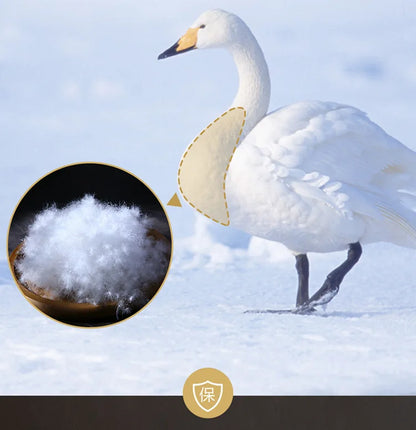 Down duvet 95 white goose down five-star hotel warm double single duvet core goose down duvet.