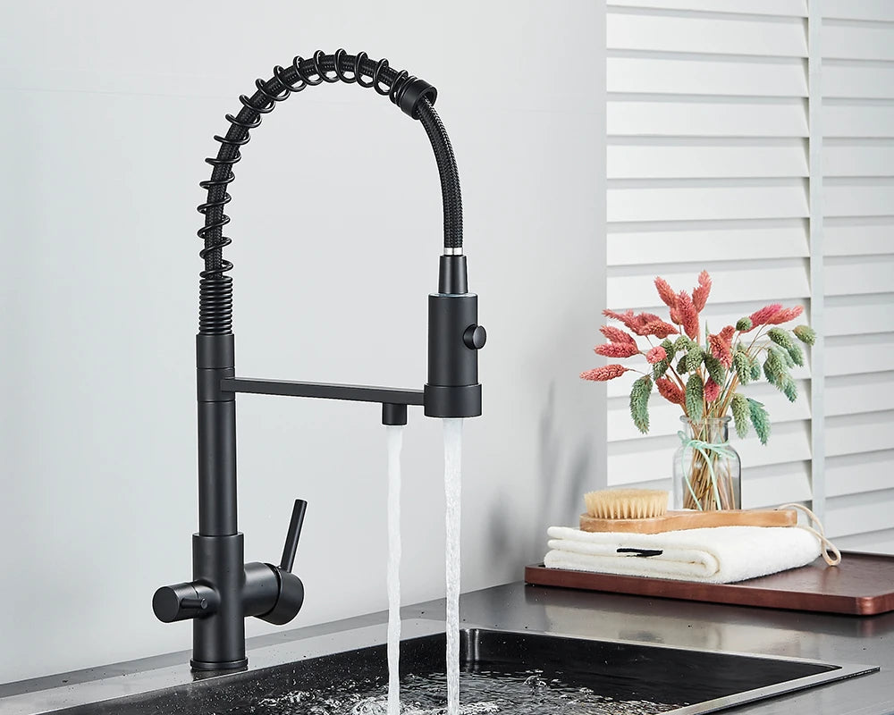 Black Filtered Kitchen Water Filter Kitchen Faucets Dual Spout Filter Faucet Mixer Water Purification Water Crane For Kitchen