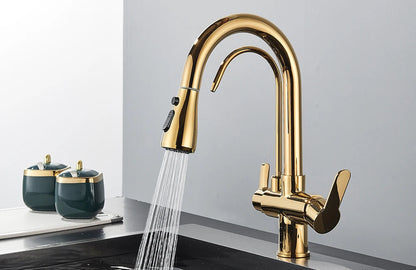 Quyanre Matte Black Filtered Crane For Kitchen Pull Out Spray 360 Rotation Water Filter Tap Three Ways Sink Mixer Kitchen Faucet