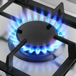 Stainless Steel Gas Hob Automatic Flame Protection 2 Bulbs | Dual Fuel Natural Gas/Propane Built-in/Freestanding 2400W 220-240V.
