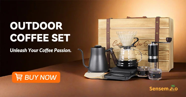 Tragbarer, holzgefeuerter Pizzaofen für den Außenbereich mit 12-Zoll-Stein und Thermometer, klappbare Beine, Camping-Grillmaschine aus Edelstahl für den Hinterhof