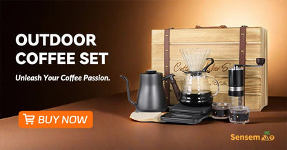 Tragbarer, holzgefeuerter Pizzaofen für den Außenbereich mit 12-Zoll-Stein und Thermometer, klappbare Beine, Camping-Grillmaschine aus Edelstahl für den Hinterhof